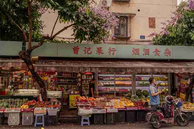 【蘑菇视频ios】先锋全景记录追本溯源 - 新手必看，蘑菇视频畅享美好时光