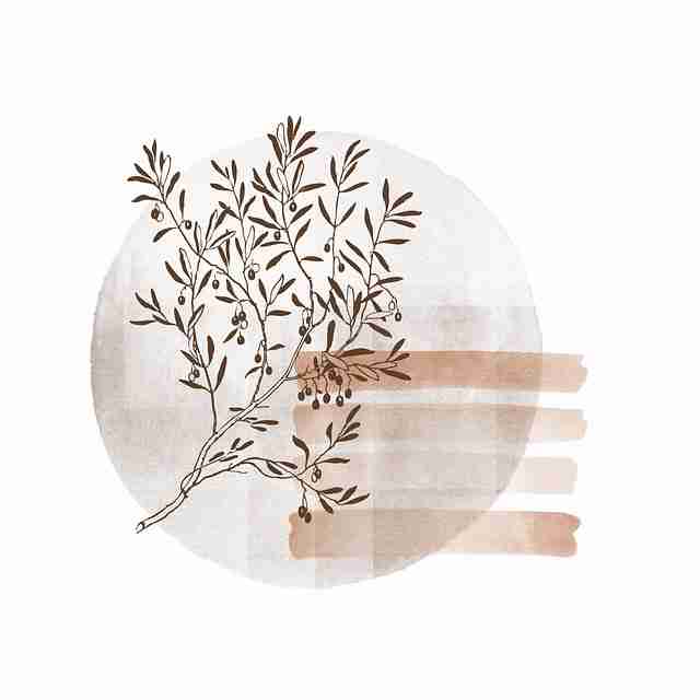 描摹·暗线故事｜鉴黄师免费观看｜硬核｜快速入门